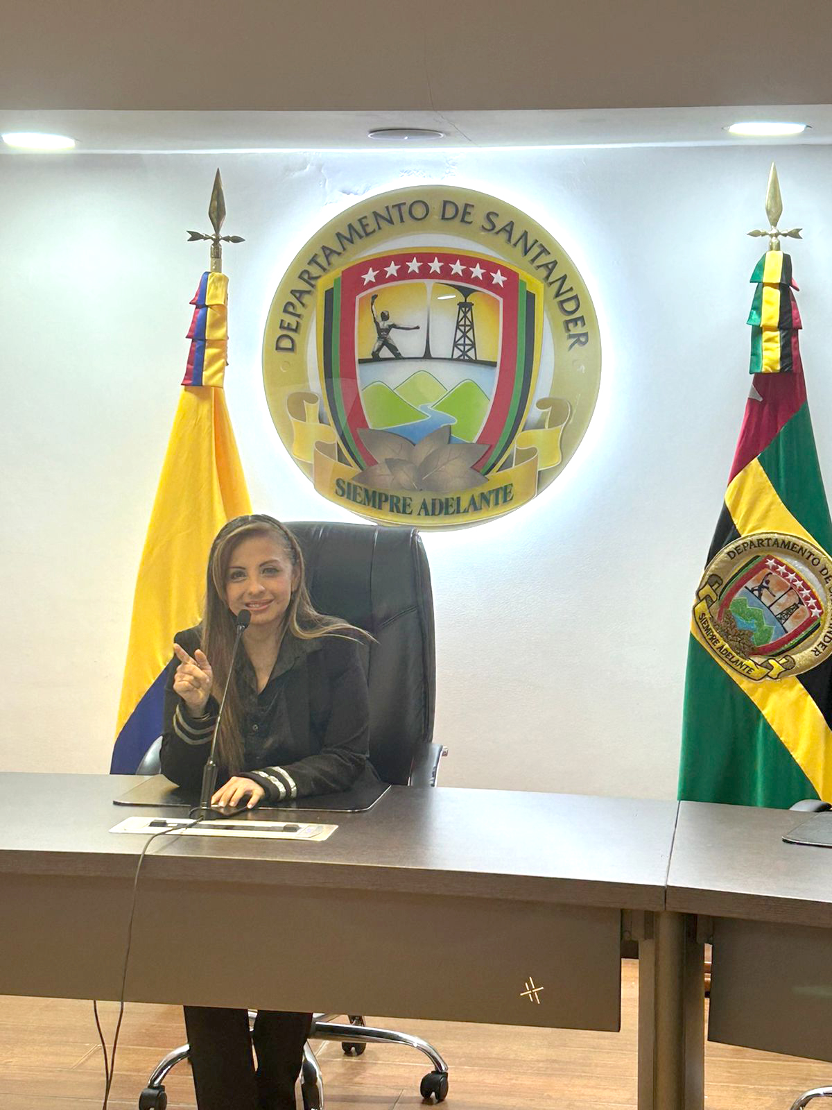 Sonia Amado en sala institucional del Departamento de Santander